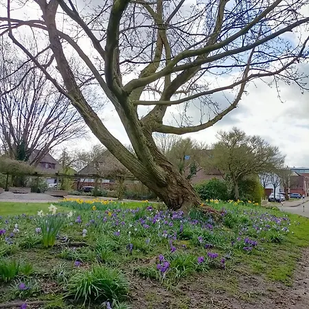 Voerde Stadtidyll Bremervörde Esterno foto